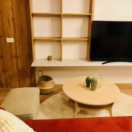 Joy City Vivalia 7b-13 * Timisoara