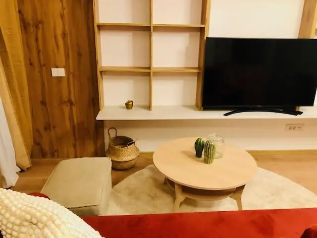 Joy City Vivalia 7b-13 * Timişoara